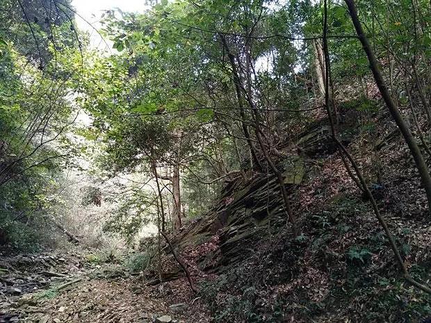 逃离违建房屋5